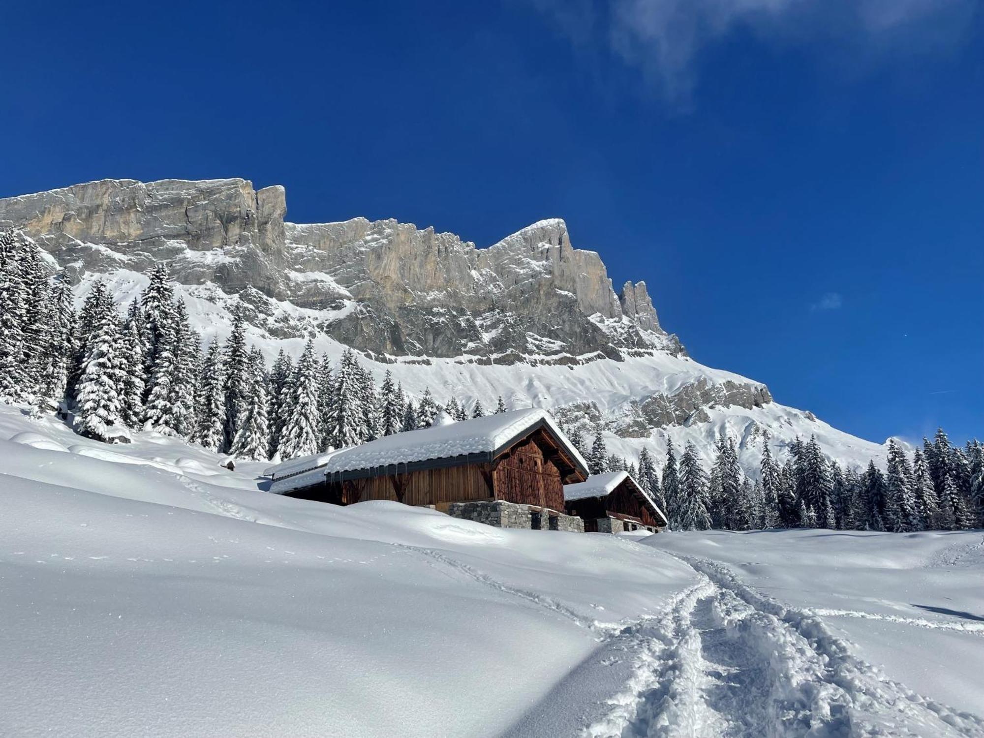 Chalet Du Grand Cerf Servoz Buitenkant foto